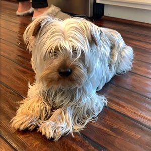 Meet your Posher, Karina